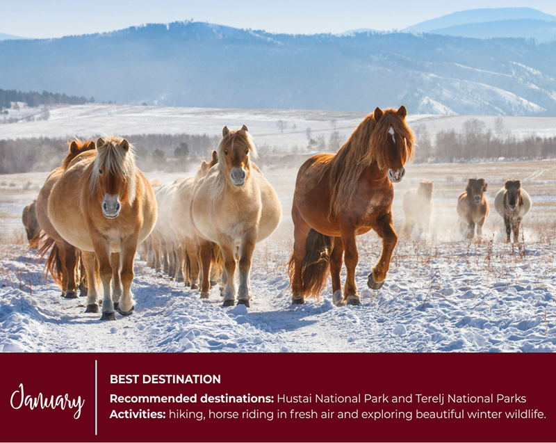 Mongolia events and festivals calendar